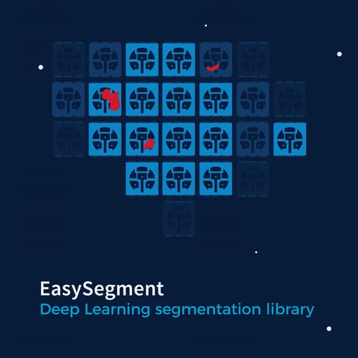 Easysegment_Teaser-Euresys-Open-eVision-Deep-Learning_Sub_01