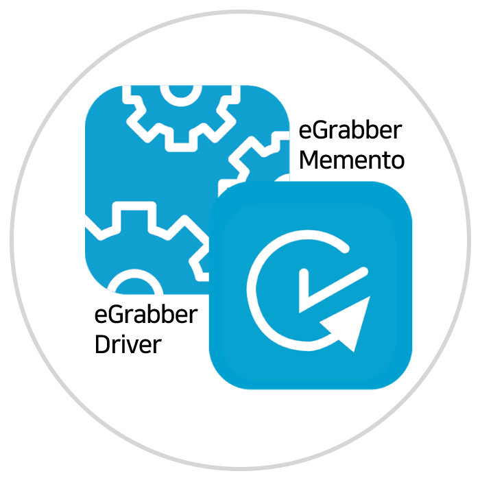 Euresys-Grablink-Duo-프레임그래버(Frame-Grabber)로-머신비전-솔루션-적용-사례_egrabber