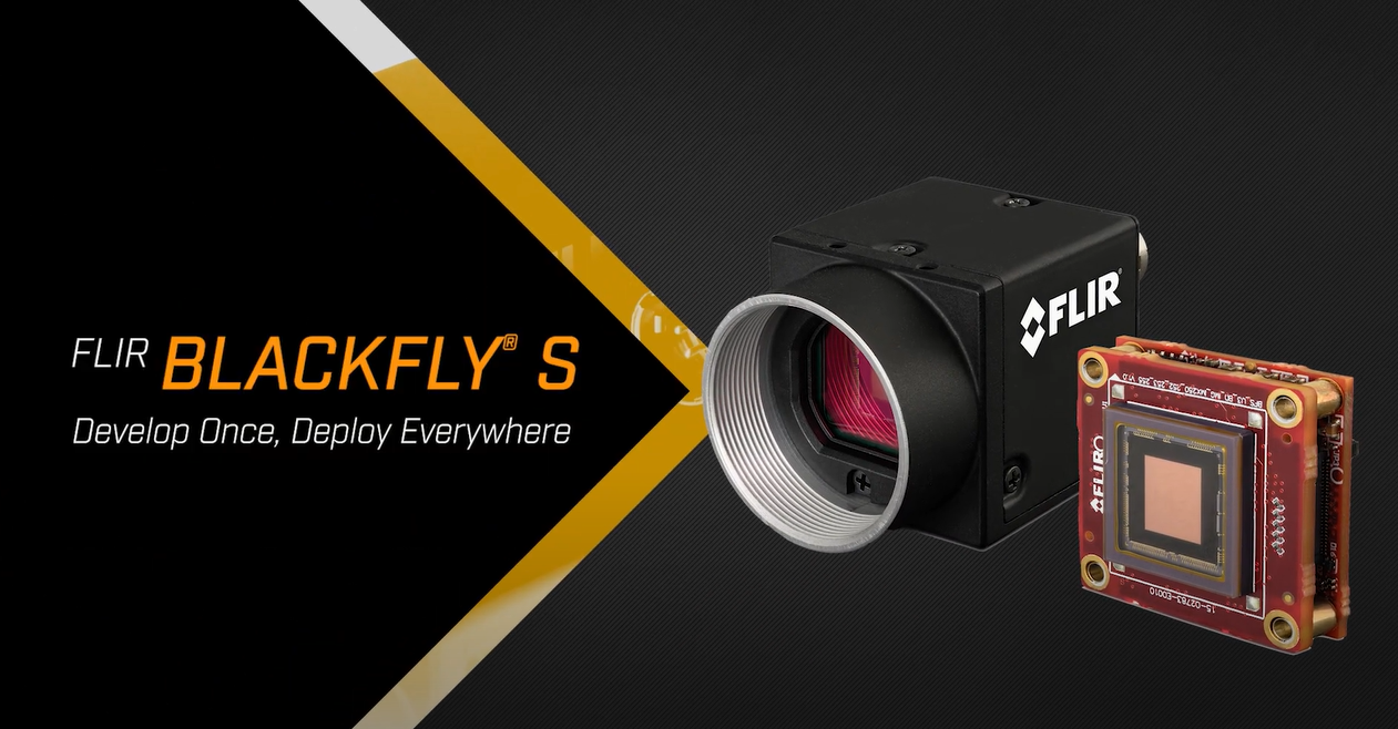 blackflys products