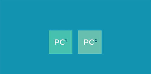 Fainstec-Euresys-CoaXPress-DataForwarding_4.gif