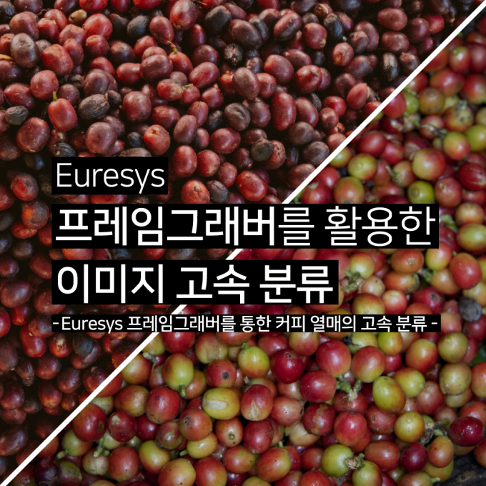 Euresys 프레임그래버를 활용한 이미지 고속 분류