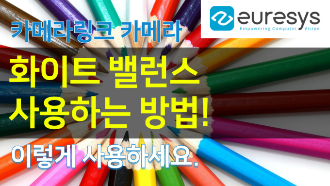 EURESYS_CameraLink White Balance 설정 방법