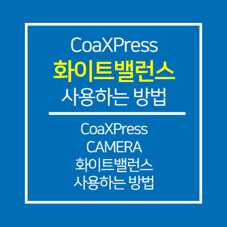 [EURESYS] CoaXPress CAMERA 화이트밸런스 사용하는 방법