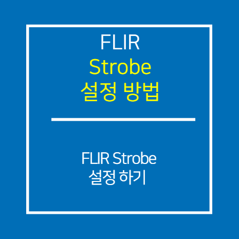 FLIR_Strobe 설정 방법
