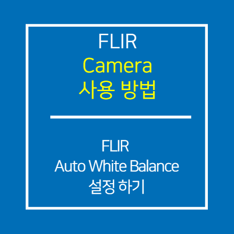 FLIR_Auto White Balance 및 Color Conversion 설정 방법