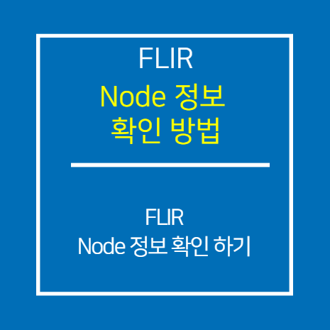 FLIR_Node 정보 확인 방법