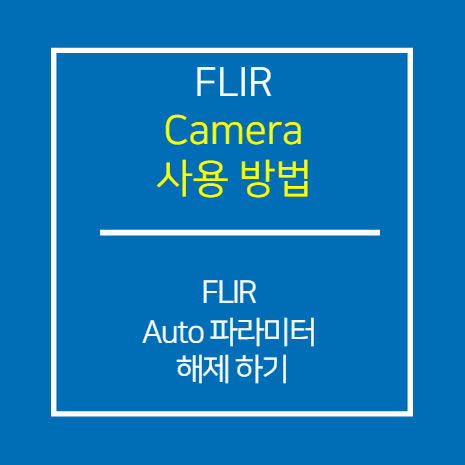 FLIR_Auto 파라미터 해제 방법