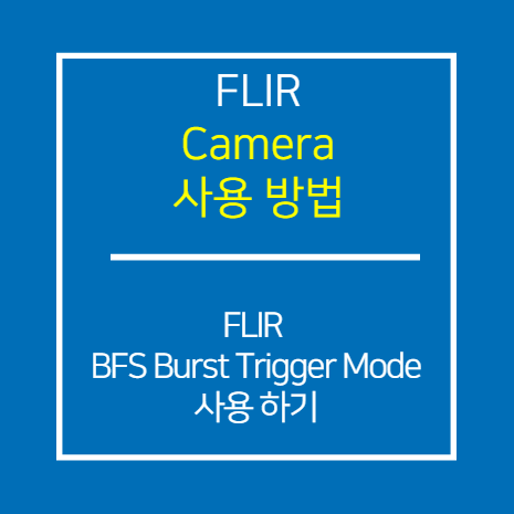 FLIR_BFS Burst Trigger Mode 사용 방법