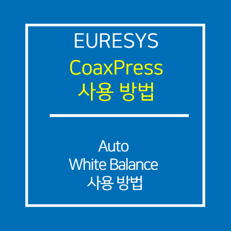EURESYS_CXP_Auto White Balance 사용 방법