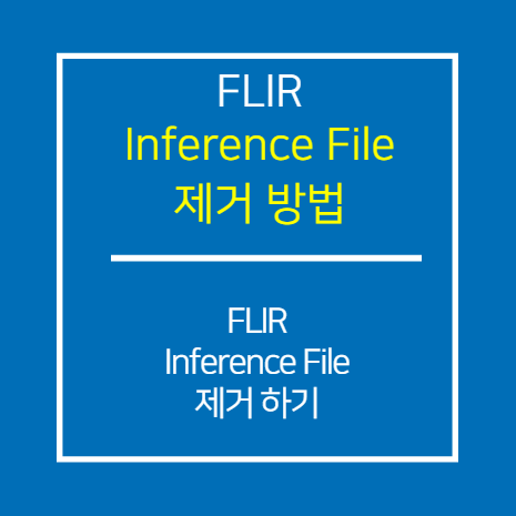 FLIR_Inference File 제거 방법